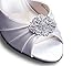 Vintage Inspired Shoe Clips Caroline Silver