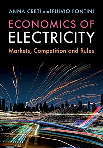 Download Economics of Electricity: Markets, Competition and Rules (English Edition) PDF