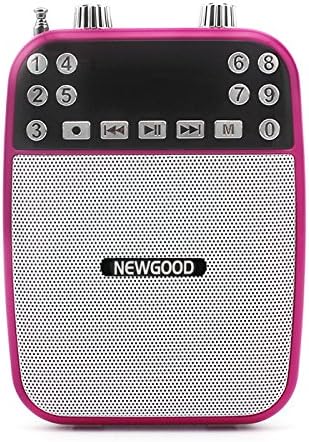 NEWGOOD 2016 2.4Ghz Wall through Wireless Voice Amplifier Speaker with Feedback Control,U Drive Music Playing,Wired Headset Microphone,FM Radio (pink)