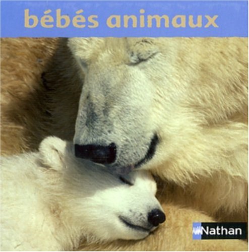 Bébés animaux by (Hardcover)