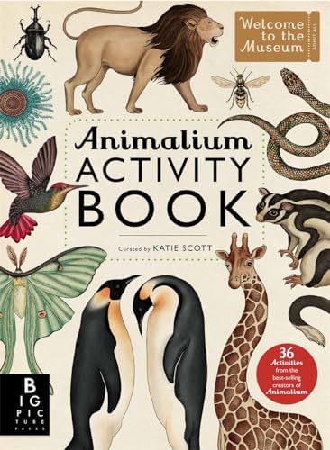 Animalium Colouring Book (Welcome To The Museum): Katie Scott