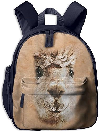 Dinomite Dinosaur 15 Inch Backpack