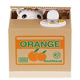 Resulzon Stealing Coin Cat Box- Piggy Bank - White Kitty - English Speaking- Great Gift for Any Child