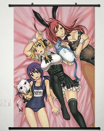 Wall Scroll Poster Fabric Painting For Anime Fairy Tail Key Roles 164