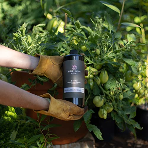 Heirloom Roses Founder’s Fish Fertilizer Plant Food for Plants, Organic Liquid Emulsion