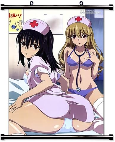 Amazon Co Jp Strike The Bloodアニメファブリック壁スクロールポスター 16 X 23 インチ Wp Strike The Blood ホーム キッチン