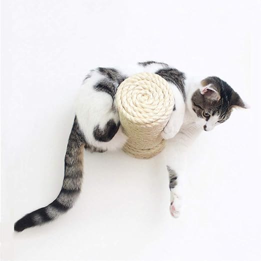 amazon climbing frame