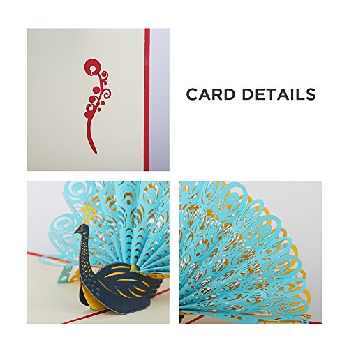 Echeer Paper Peacock Pop Up Birthday Greeting Cards, Wedding Congratulations Cards， 3D Pop Up Greeting Cards Handmade Anniversary Wedding Graduation Cards Invitation Cards - Thumbnail 4