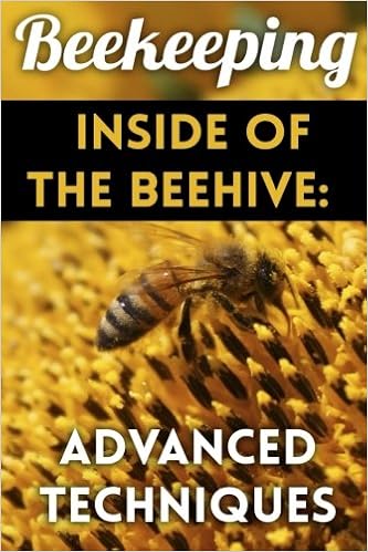 Beekeeping Inside Of The Beehive Advanced Techniques Backyard
