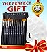 CYBER MONDAY SALE- Artit Paint Brush Set, 12 Piece Nylon Brushes for Acrylic, Watercolor, Oil, Nail & Face Painting, All-in-1 Bundle Includes Portable Case & White Palette, Long Handle & Easy to Clean