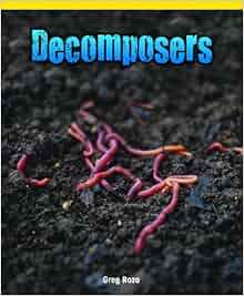 Decomposers Science Kaleidoscope Greg Roza 9781435829817 Amazon Com Books