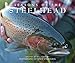 Seasons of the Steelhead by 
