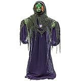 Halloween Haunters Life-Size Standing Scary Wicked Witch with Green Flashing Bloodshot Light-Up Eyes Prop Decoration - Creepy Old Evil Green Face Zombie Haunted House Graveyard Entryway Display
