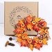 Valdler 22 Inch LED Winter Front Door Decorative Wreath with Maple Leaf,Pumpkin, Pinecone,Red Berries Garland