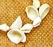Beachcombers 04511 Multi Seashell Garland, White