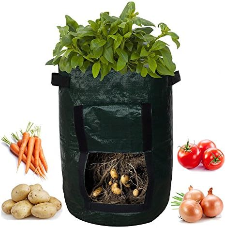 Vegetable Garden Grow Bags for Indoor/Outdoor Planting Potatoes, Peanuts, Carrots, Onions, Tomatoes, Mushrooms, 10 Gallon with Flap and Handles, 5 Pack