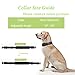 Nasus Tactical Dog Collar and Leash Set, Adjustable Military Training Nylon Collar and Heavy Duty Bungee Lead with Soft Cover Control Handles, Quick Release Buckle for Dogs Daily Walks (Leash+Collar)