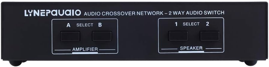 passive speaker switch