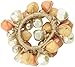 Caravan Multi Color Pinch Bead Ponytail