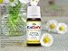 Plant Therapy KidSafe Calming the Child Body Cream 8 oz Aromatherapy Natural Base