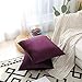 Home Brilliant Dark Purple Velvet Square Pillowcase Decorative Throw Pillow Cover for Bed Couch Sofa Car Dorm, 18x18 inch (45x45 cm), Eggplant