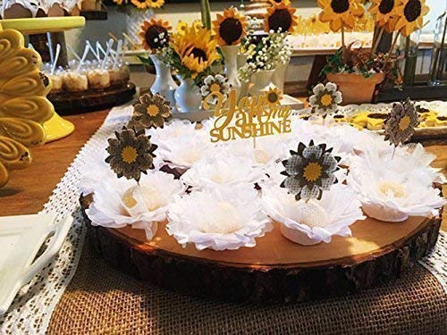Amazon Com You Are My Sunshine Cupcake Toppers Sunflower Baby