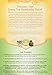 :Yogi Green Tea Kombucha Decaf 16 BAG, Pack of 5 (image may vary)