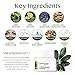 [Forest Heal] Anti Aging Retinol Moisture Cream for Face and Dry Skin, Anti-Wrinkle Hydration with Vitamin C (100 ml/ 3.38 fl.oz.)