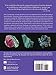 Crystals and Stones: A Complete Guide to Their Healing Properties (The Group of 5 Crystals Series)