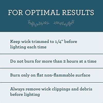 Our Own Candle Company Soy Wax Aromatherapy Candle Simply Eucalyptus 6 5 Ounce Our Own Candle Company Soy Wax Aromatherapy Candle Simply Eucalyptus 6 5 Ounce