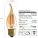 Panledo LED Filament Candelabra Bulb 4W Dimmable, 40W Equivalent, Vintage Classic Edison style, Amber Glass Light bulbs, Gold Tint Flame Tip, E26 Base, Ultra Warm White 2200K, Pack of 3