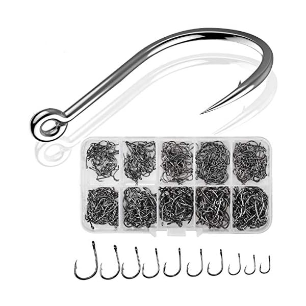 Fodlon 500PCS Angelhaken, 3# -12# Widerhaken Angelhaken, Kohlenstoffstahl Augen Angeln Haken, Karpfenkreishaken mit Aufbewahrungsbox fÃ¼r SÃ¼Ãwasser-Salzwasserfisch-Trackle
