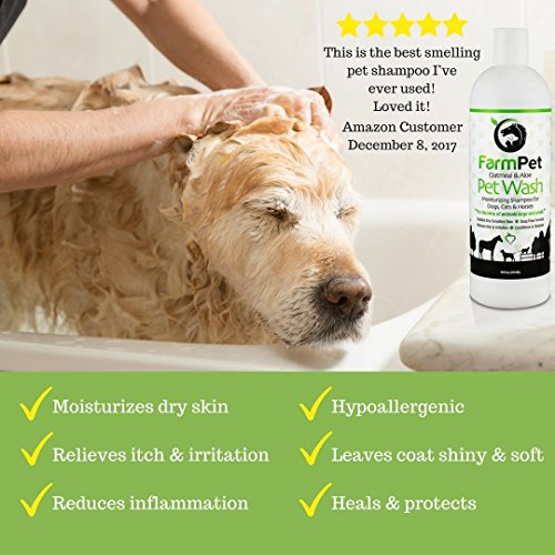 Top 18 Best Dog Shampoo for Itchy SkinYour Ultimate Choice Hellow Dog