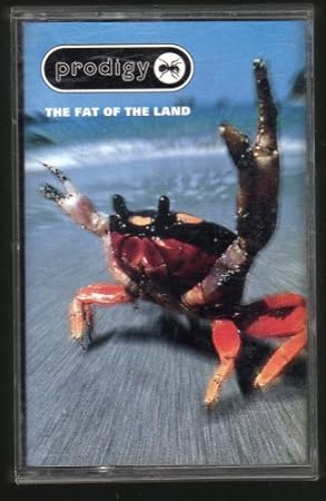 Amazon The Fat Of The Land By Prodigy Prodigy ミュージック 音楽