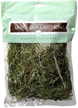 Quality Growers Spanish Moss Dry Bag Sm Basil