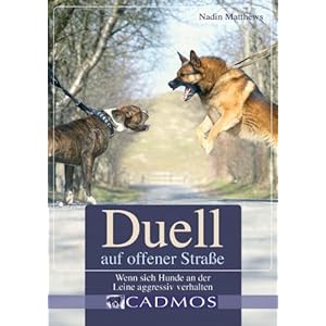 Duell auf offener Straße: Wenn sich Hunde an der Leine aggressiv verhalten