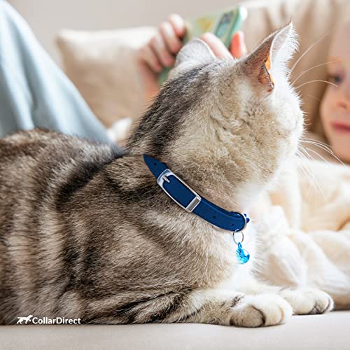 CollarDirect Leather Cat Collar, Cat Safety Collar with Elastic Strap