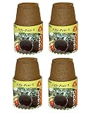 PLANTATION Products Jp508 Round Peat Pot, 5-Inch, 6-Pack (4)