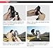 BUDGET & GOOD® Windshield Dashboard Universal Car Mount, Cell Phone Holder for General Mobile Phones Car Holder for iPhone SE 7 7 Plus 6 6 Plus 5 5s 4s Android and Smartphones