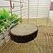 Parrot Bird Cage Perches Round Wooden Coin Stand Platform by Grocery Housethumb 4