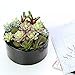 MyGift® 6 inch Realistic Artificial Faux Mixed Succulent Plants Arrangement w/Black Round Ceramic Vase