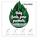 Sircuit Skin YOUTH ACCELERATOR+ Pumpkin Enzyme Peel - Gentle Face Exfoliator with Lactic Acid, Pumpkin Extract, and Gluconic Acid - Exfoliating Facial Mask Supports Healthy Skin (1.3 oz)