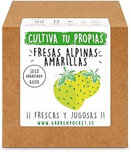 Garden Pocket - Kit Cultivo Fresas Amarillas: Amazon.es: Jardín
