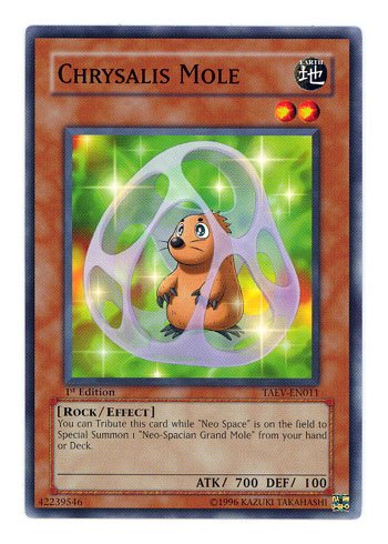 Yu-Gi-Oh! - Chrysalis Mole (TAEV-EN011) - Tactical Evolution - 1st Edition - Common