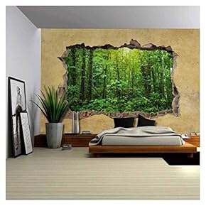 Tropical Rain Forest Viewed Through a Broken Wall...