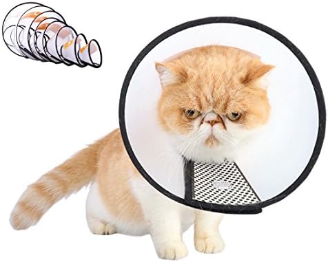 Recovery Pet Cone E-Collar for Cats Dogs, Clear Plastic Elizabeth Protective Collar Anti-Bite Lick Wound Healing Safety Practical Neck Cover (XXL(2+))