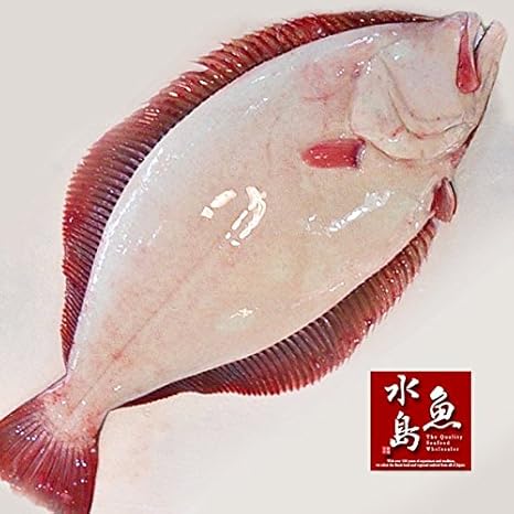 Amazon 魚水島 天然ヒラメ 平目 日本海産 3 5 3 9キロ物 魚水島 鮮魚 通販