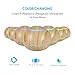 ARCHEER Aromatherapy Essential Oil Diffuser, 300ML Ultrasonic Cool Mist Humidifier with Color LED Lights Changing & 4 Timer Settings for Office Home Bedroom Living Room Study Yoga Spa - Wood Grain