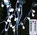 [Remote & Timer] Outdoor Globe String Lights 33Ft 100LED Cool White Fairy Twinkle Lights(3/4