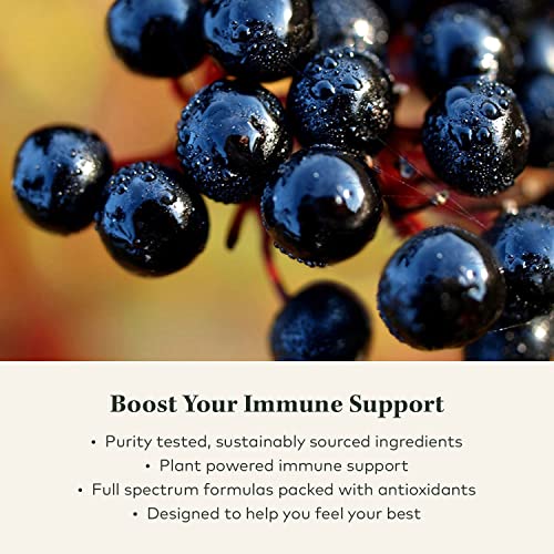 Gaia Herbs Black Elderberry Syrup Extra Strength Immune Support